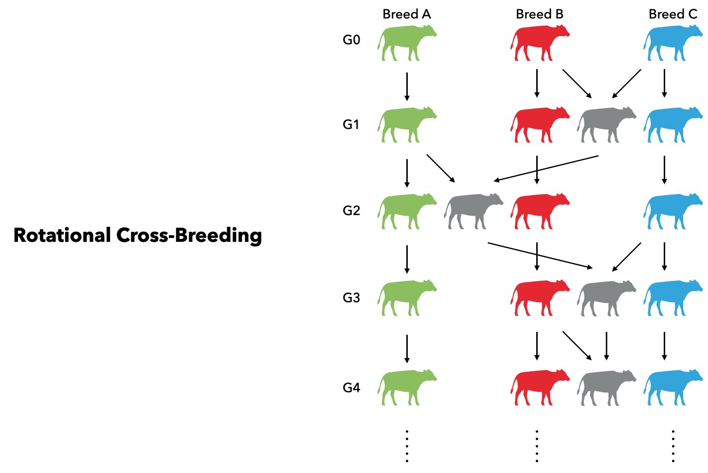 rotational-cross-breeding-xsim-jl